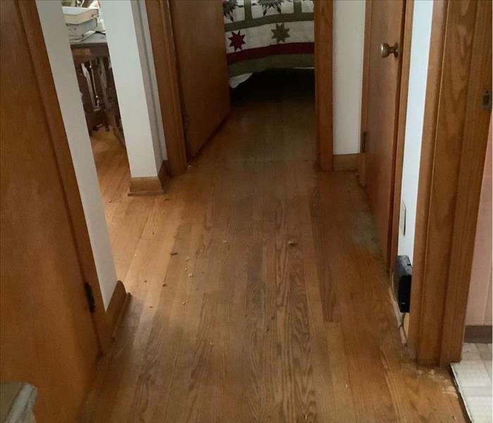 The hallway had carpet removed and is down to hardwood.