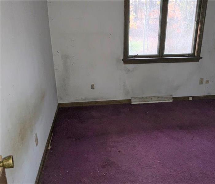 A bedroom has mold on the walls.
