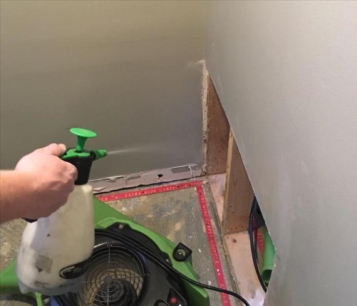 SERVPRO team member is sanitizing a wall.