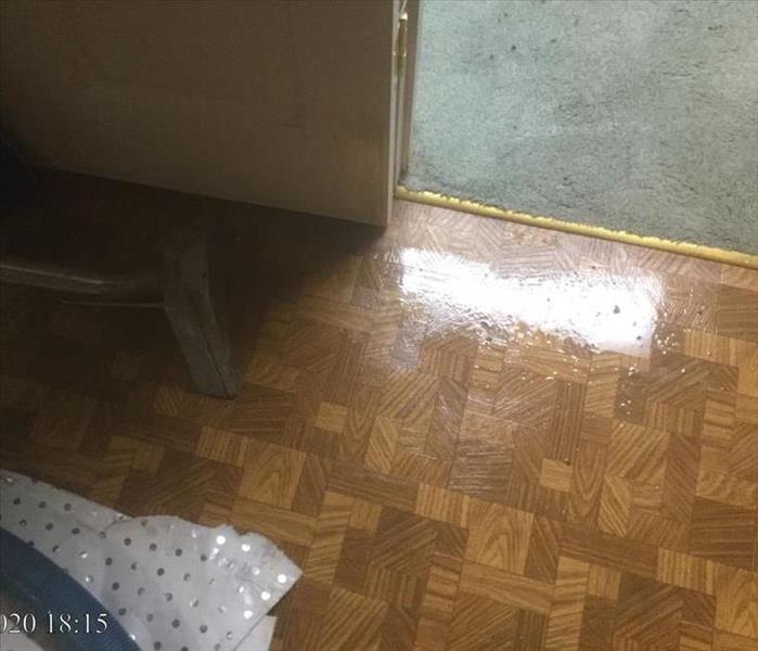 image of standing water settled on a vinyl flooring and carpet flooring in a residential property