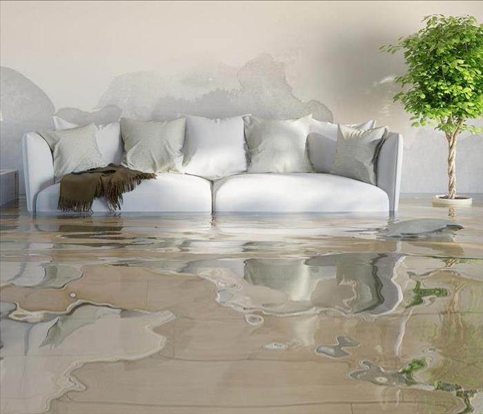 photo of living room flooding underwater
