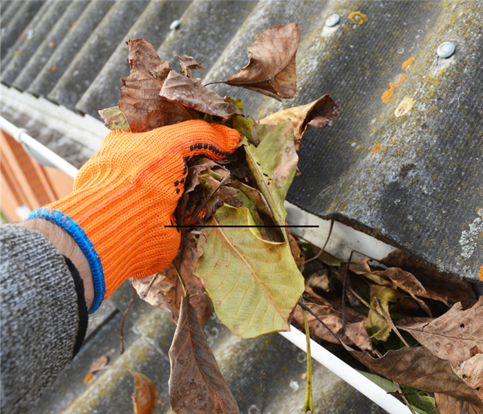 person taking leaves out of gutter