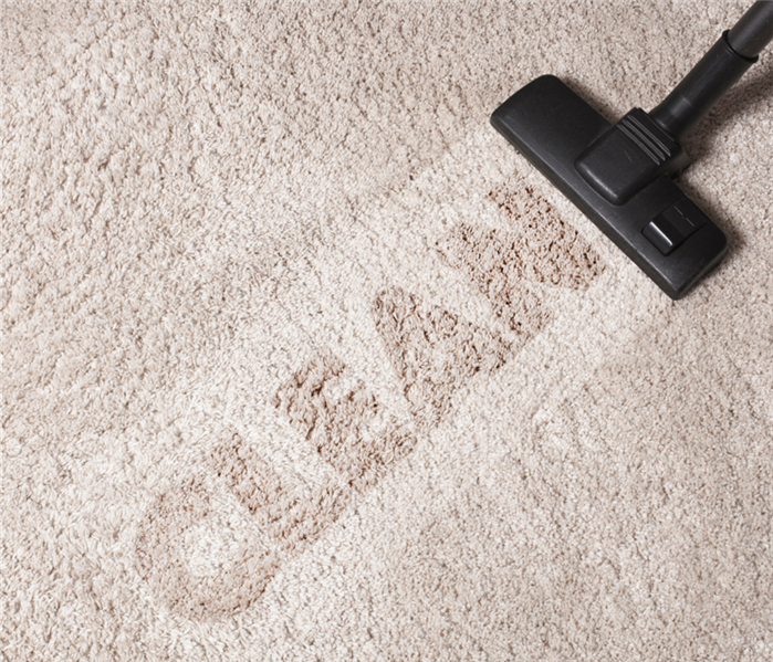 carpet that says clean