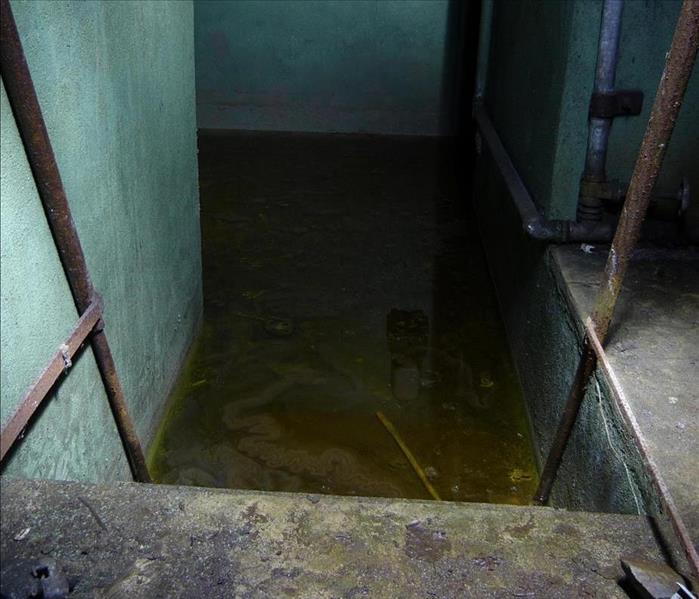 dirty water in basement